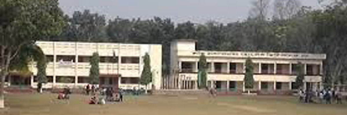 P-4.jpg